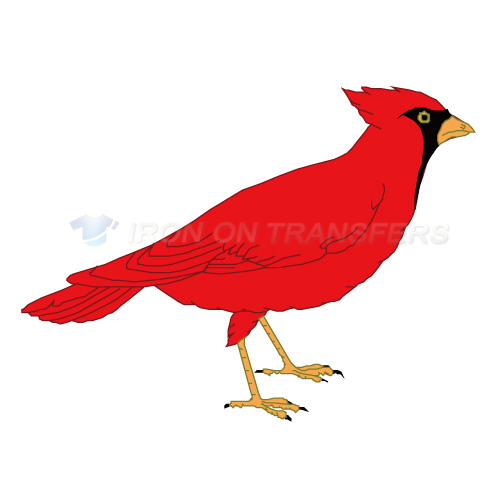 Birds Iron-on Stickers (Heat Transfers)NO.2137